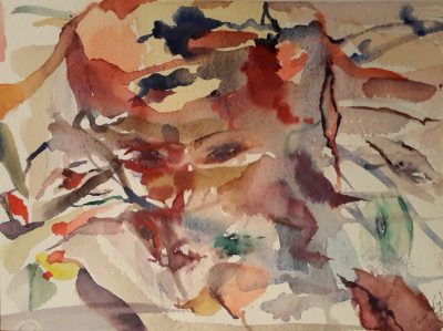 80 - Acquarello su carta 25x30